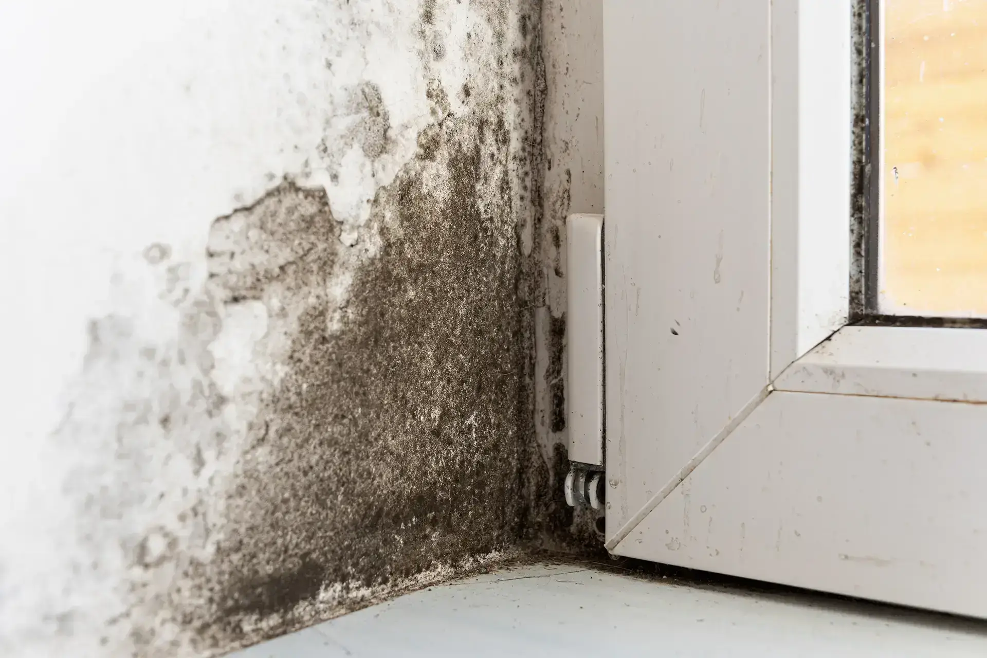 Leading Water Damage Restoration Company in Greeley — Greeley, CO